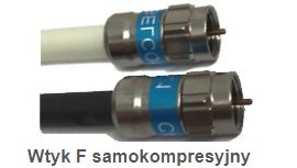 Wtyki samokompresyjne F